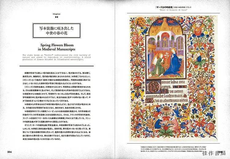 中世纪抄写员在羊皮纸上留下了什么秘密