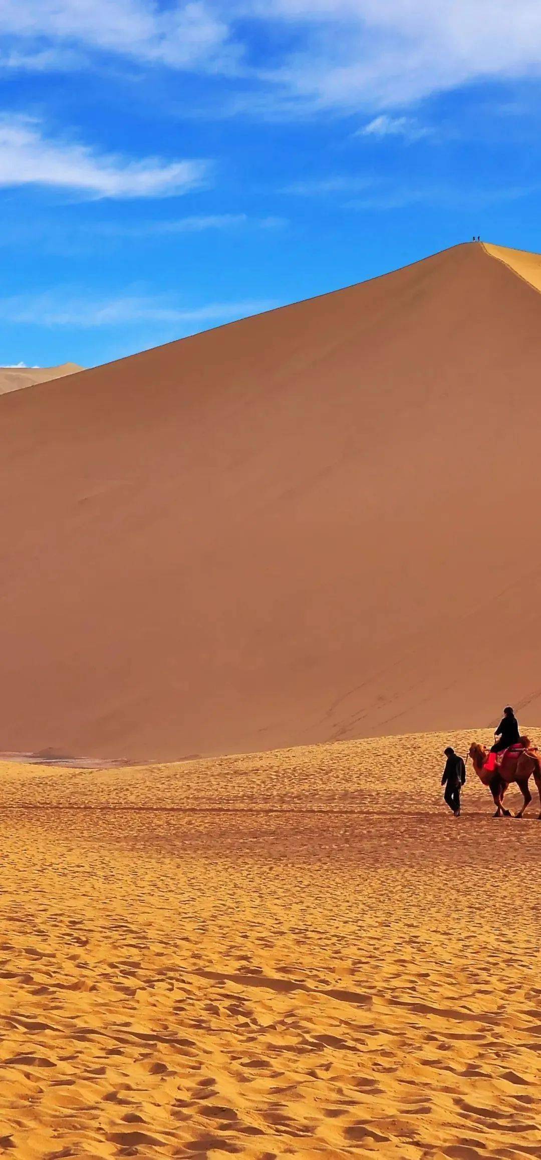 8天7晚亲子青甘线青海湖骑行茶卡盐湖拍照看丹霞奇观莫高窟修壁画采盐