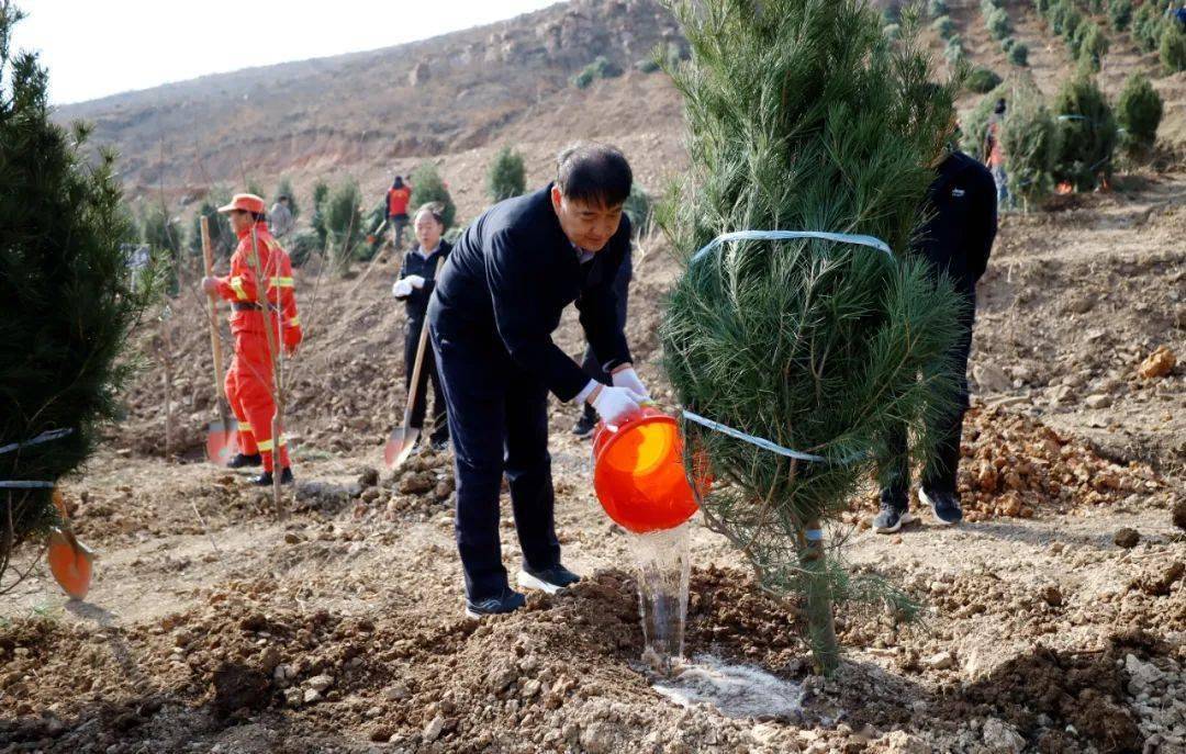 不负春光添新绿汝阳开展义务植树活动