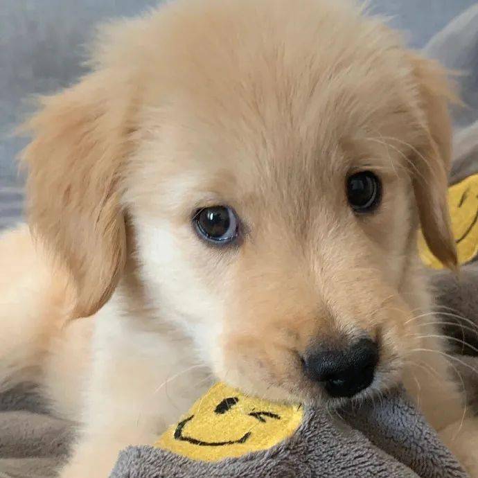 头像头像来啦宝贝们