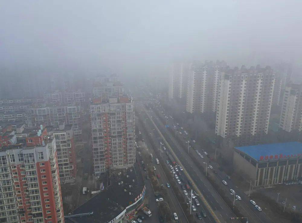 抚顺大雾袭城 城市交通未受太大影响_车辆_能见度_天气