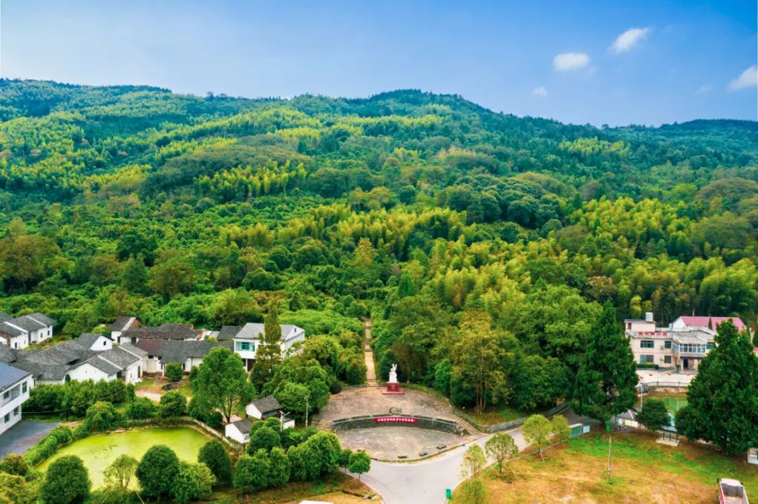 咸安多条赏花路线来了_咸安区_大幕乡_活动