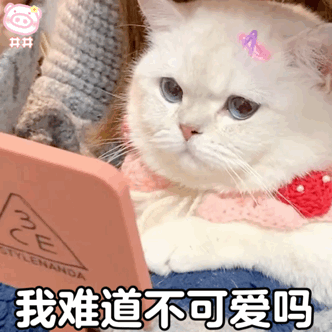 小猫咪头上有朵花表情包↑↑↑戳上方 万能聊天表情包小程序查看下载