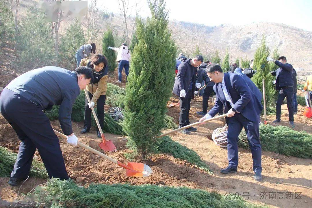 济南高新区开展植树节主题活动