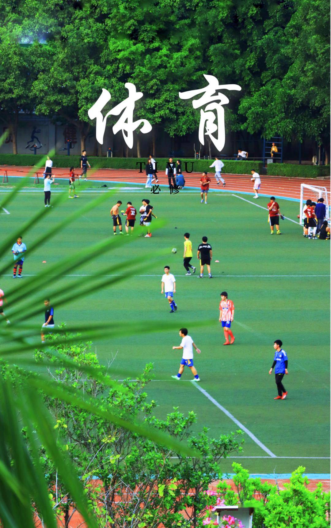 你要的广软版课本封面来了