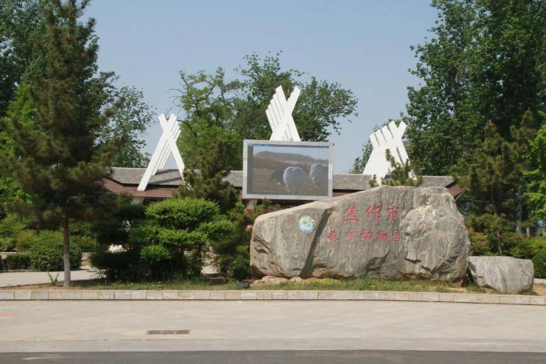 出发!焦作城区春日踏青线路→_太行_花海_森林动物园