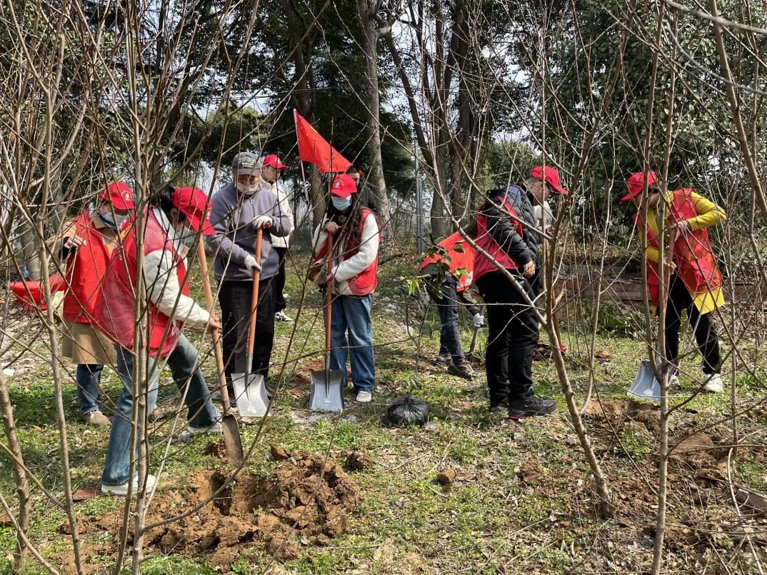 社区开展植树节活动图片