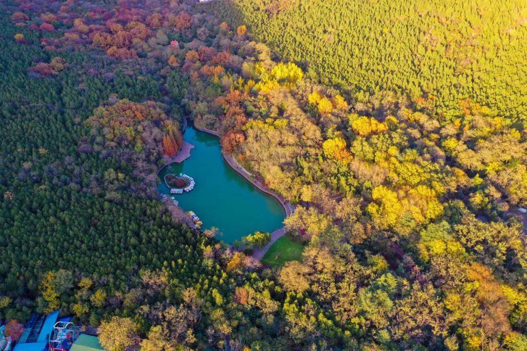 执绿为笔绘生态画卷我市不断厚植高质量发展的绿色底色