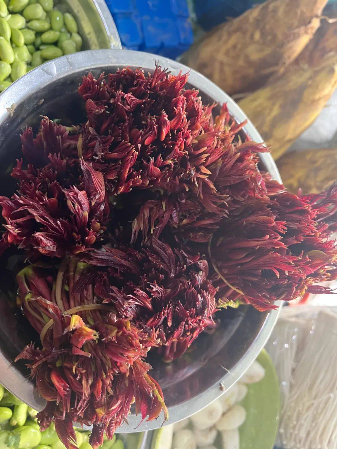 爱吃这口的阜阳人,抓紧了!_香椿_荠菜_菜市场