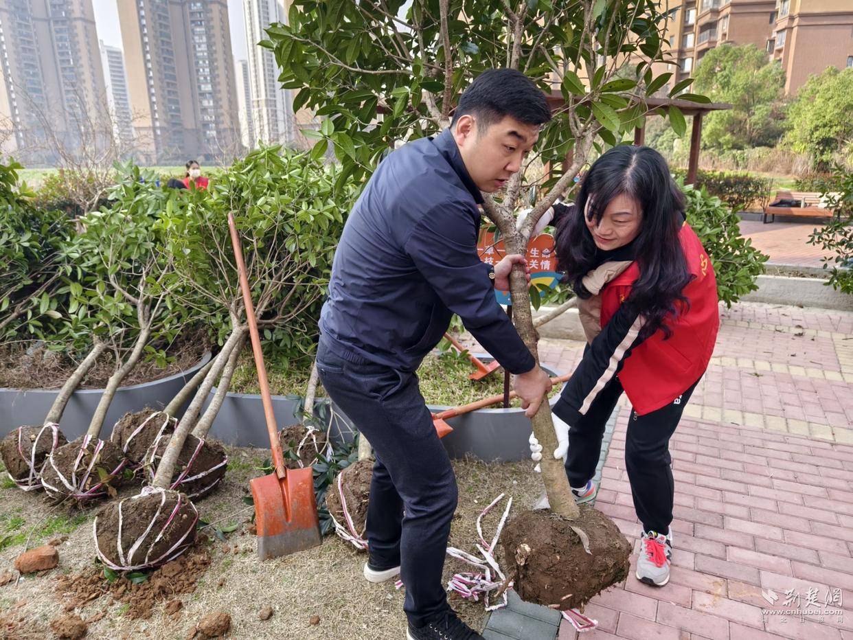 社区开展植树节活动图片