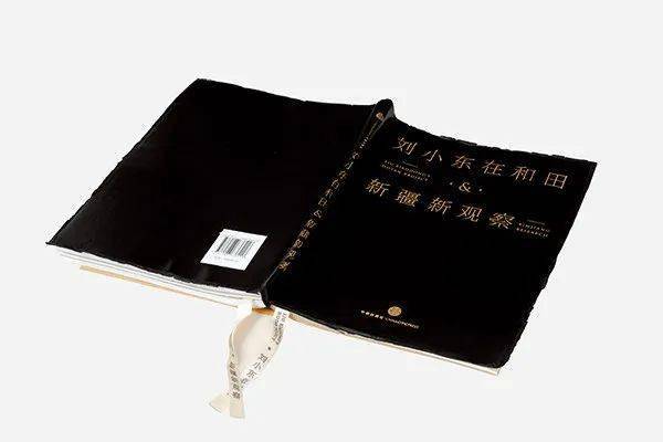 近20年来中国都有哪些书获得了世界最美的书