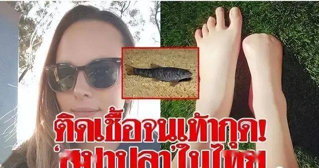 恐怖的温泉鱼疗吃脚皮治脚气全是假象一条大鱼放进去只剩骨架