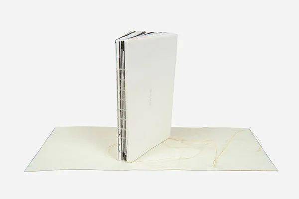 评委点评本书使用传统的宣纸来印刷中国画与书法,纸面成像富有质感.