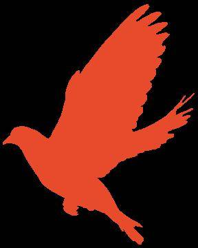 百日冲刺梦想起航2024届初三中考百日誓师大会