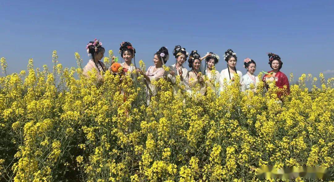 汉中城固油菜花节系列活动精彩来袭,一起约起来_花海_时间_地点