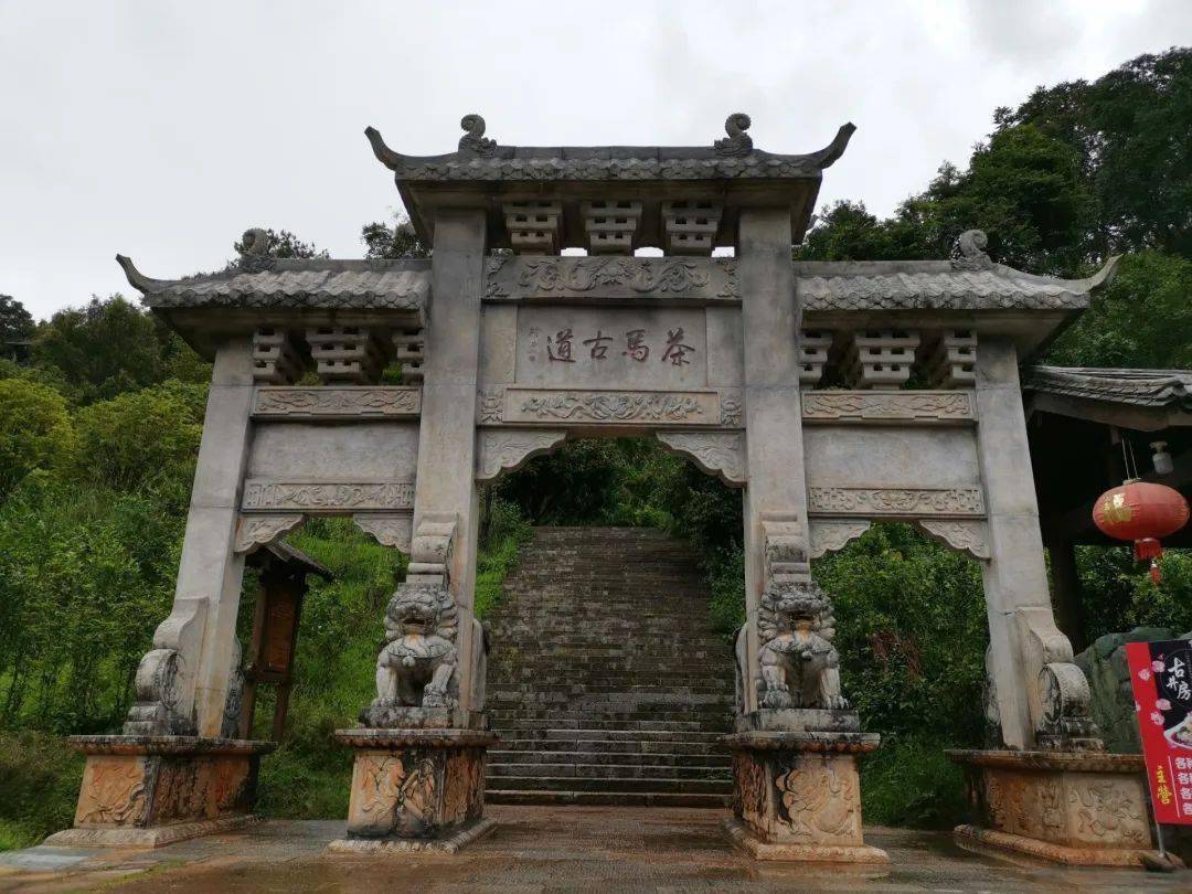 载歌载舞玩转思茅,马拉松之夜跳起来!_普洱_旅游_文化