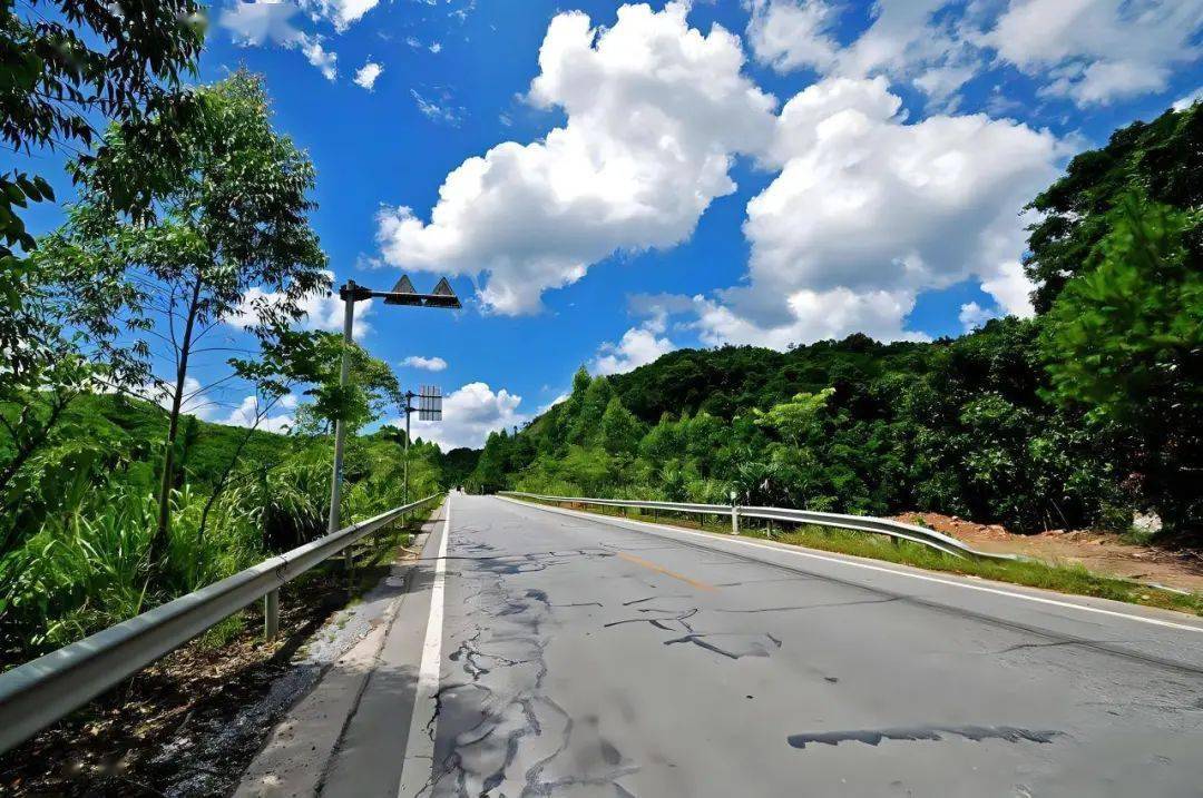 散文||走在乡村那条回家的路上_道路_公路_果树