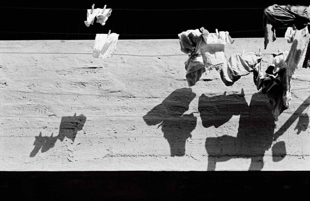 empathy香港1962想象中的地方