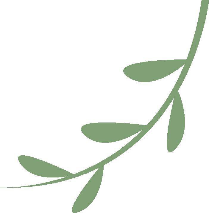 勇敢向前繁花盛开丨春天的演讲激励青春的你们