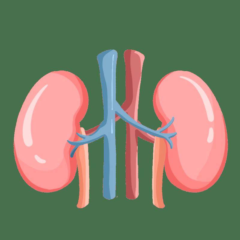 我的肾呐这些坏习惯一不小心伤害到你了