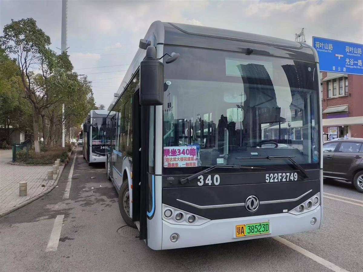 本周末将迎来赏花高峰武汉公交这样服务市民