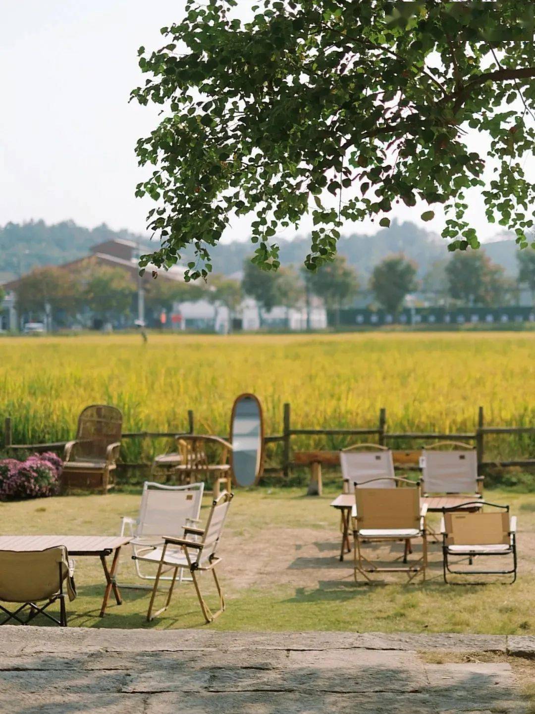 乡村咖啡 民宿研学(2天1晚定制版)