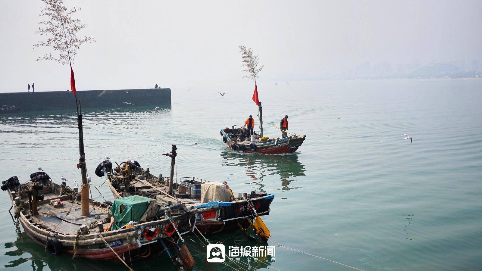 价格怎么样?_码头_渔船_捕捞