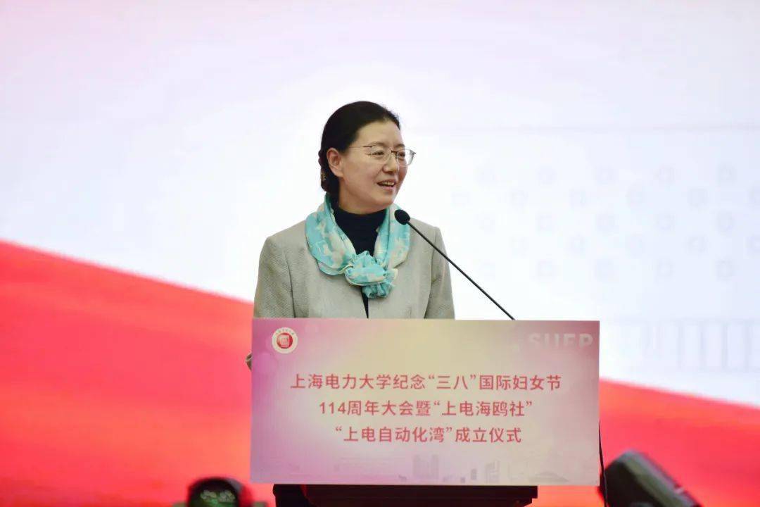 张庆玲在讲话中对"上电湾"成立以来进行的一系列有益探索表示了肯定