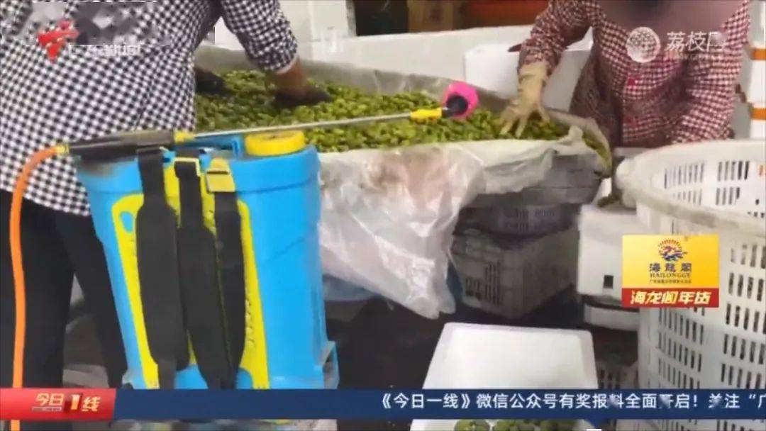 315消费调查 | 批发点为油柑果"加料",每天上万斤销往外地?_阿桐_检测