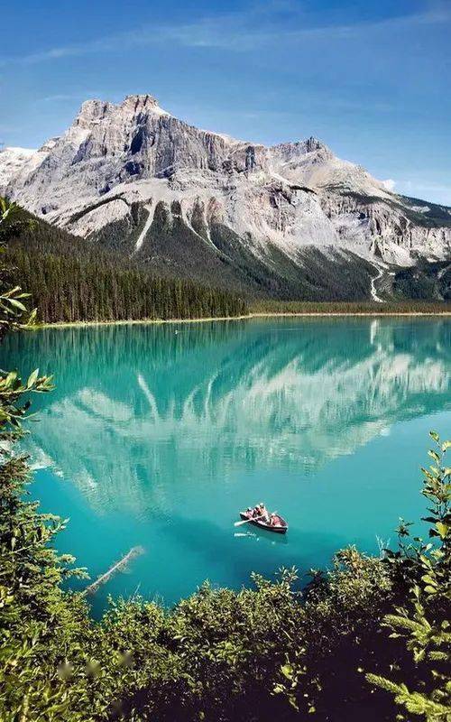 美到极致的摄影美到销魂