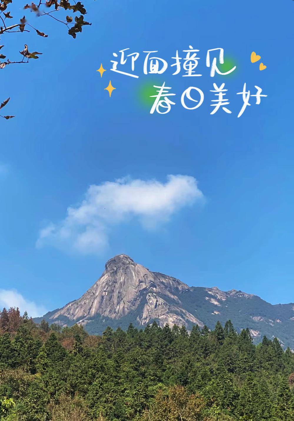 春日韶华丨跟着这条新丰线路出发→赏浪漫花海,泡山间