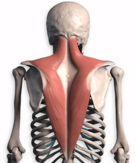 高人谈怎么开胯开肩