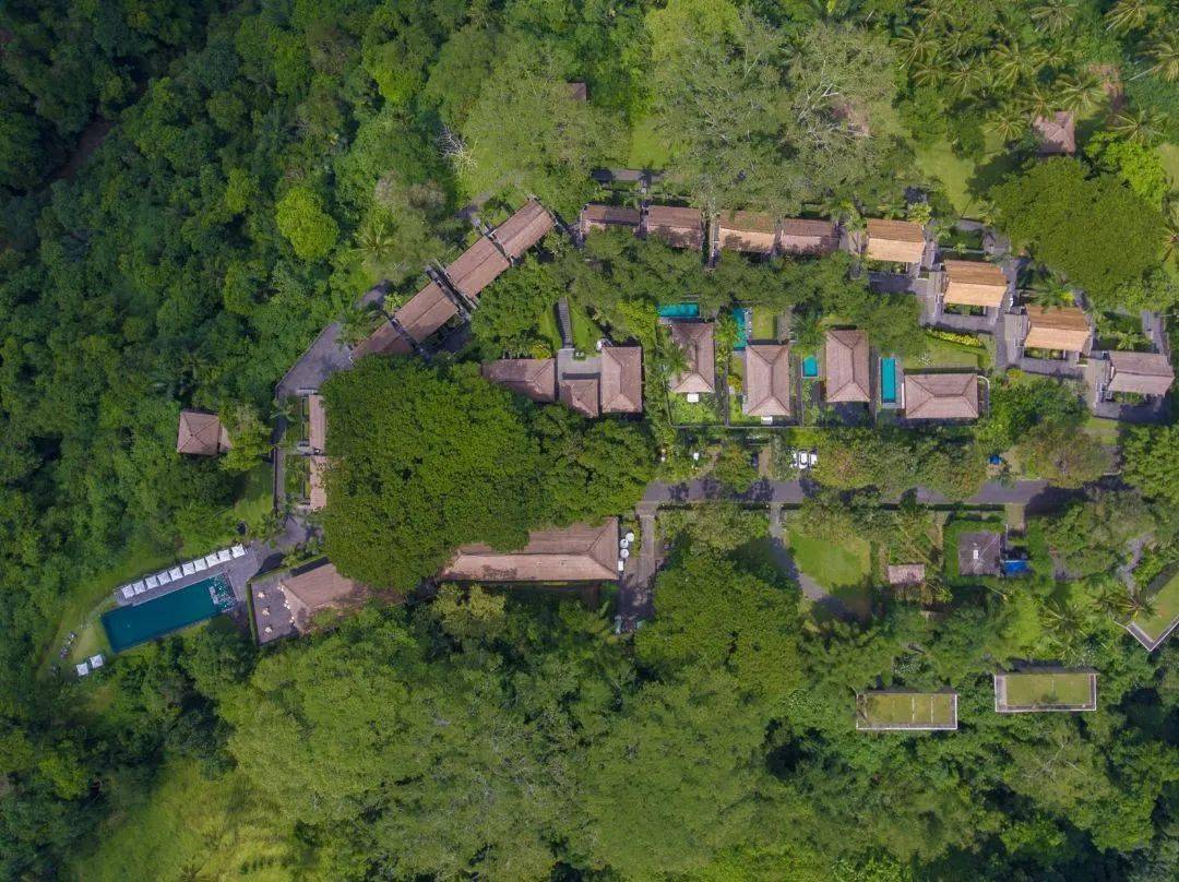 酒店位于巴厘岛茂密的原始森林中,阿漾河谷边缘,周边有火山,梯田和