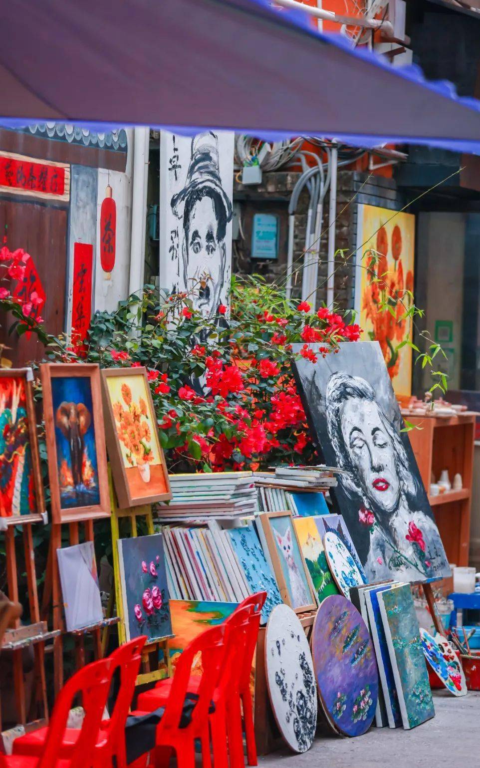 公园长椅任思绪飘远是漫步放空的绝佳去处春光如此明媚岂能错过花开的