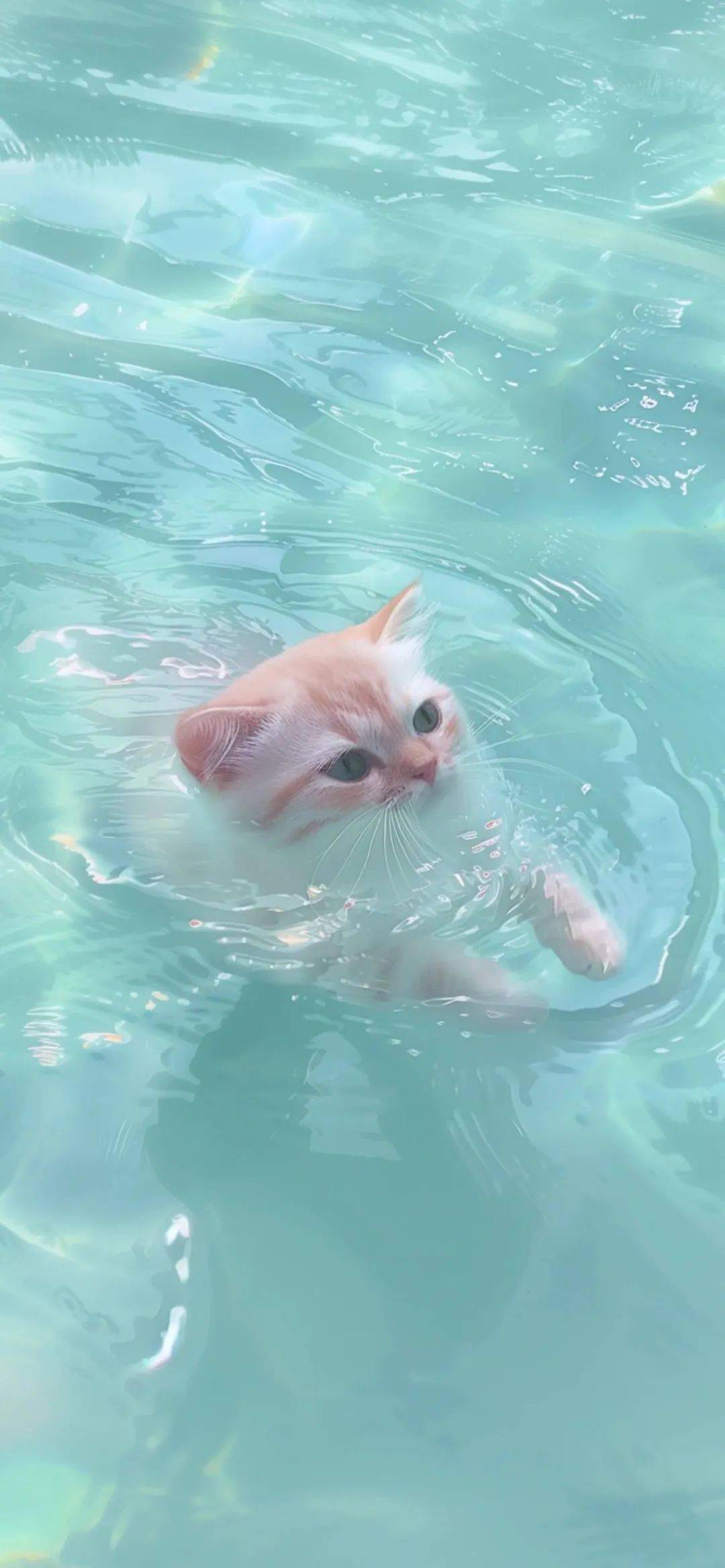 壁纸 | 蓝色治愈系 锁屏壁纸