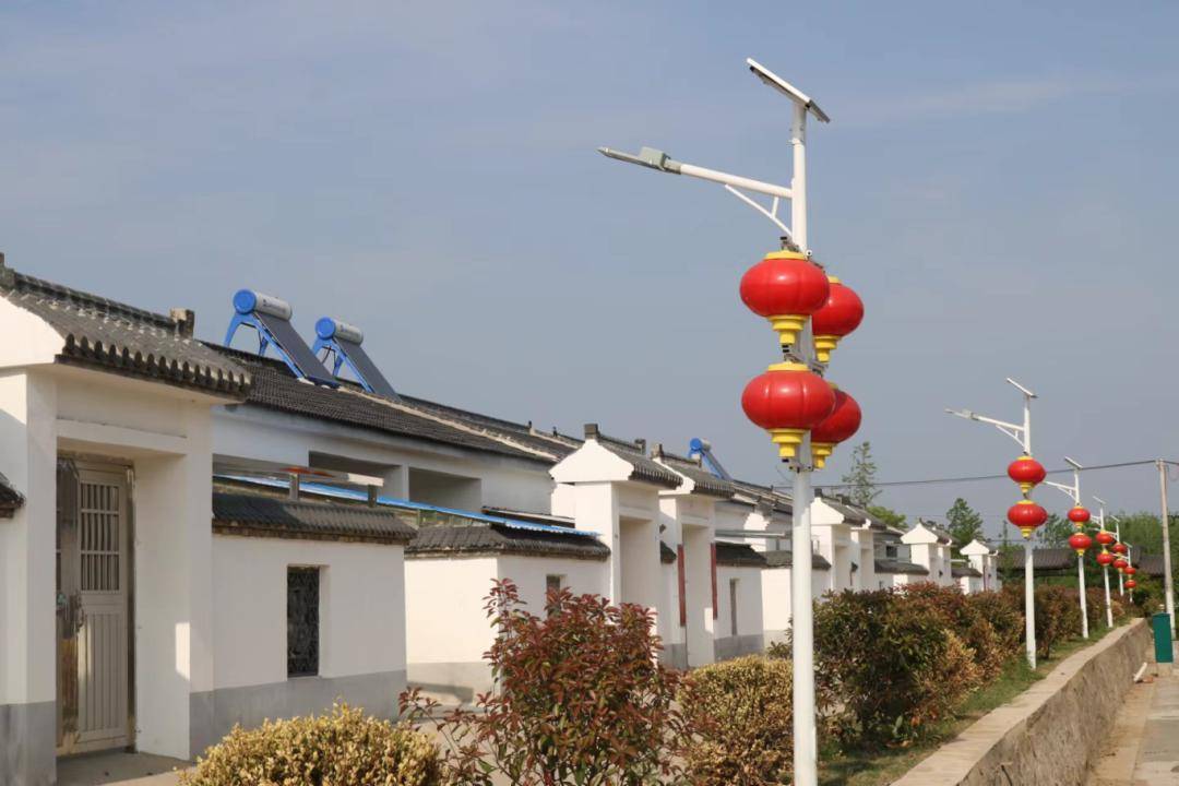 盱眙县桂五镇人大:乡村振兴路上的人大力量