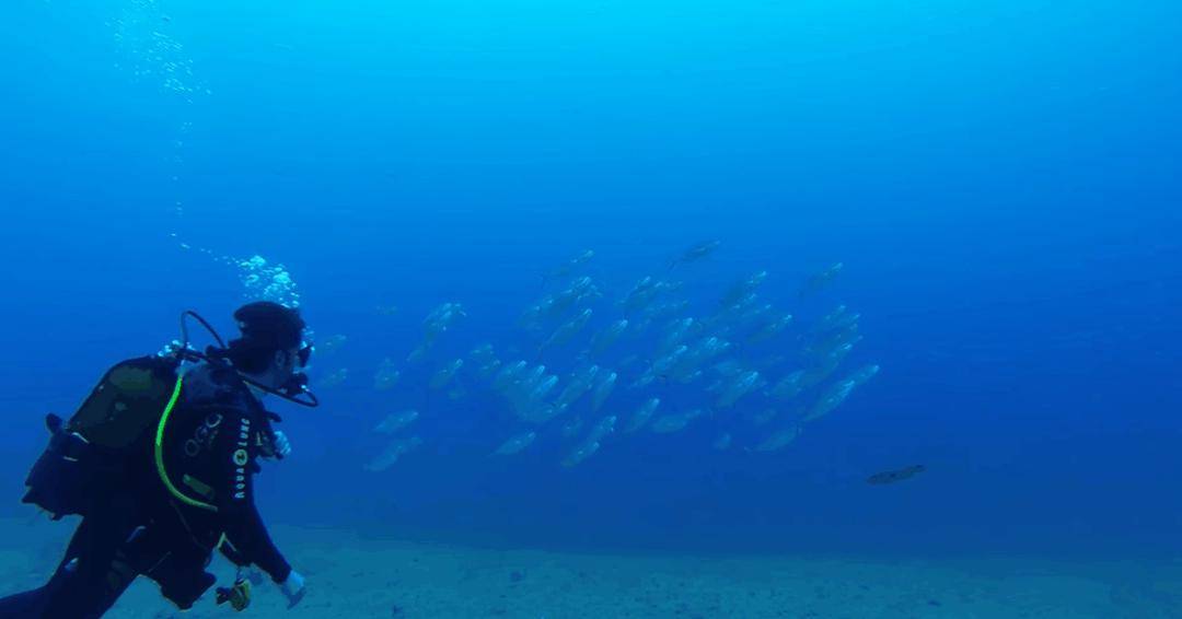 欧易居生活希腊5大潜水目的地