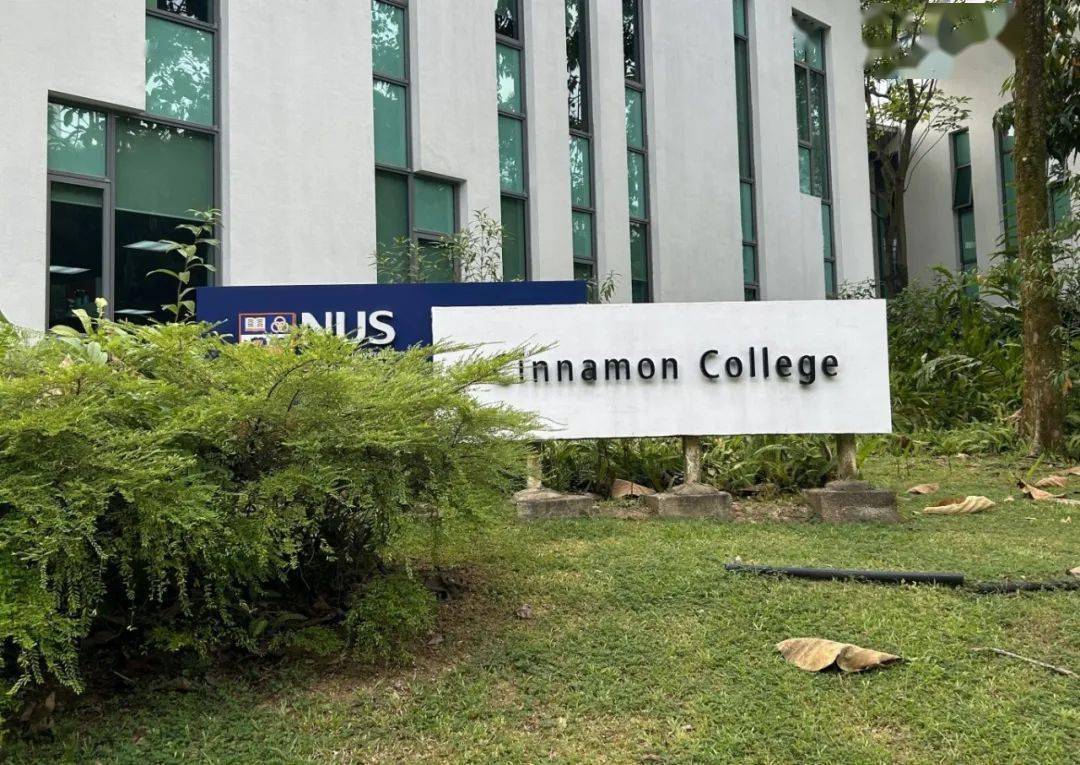 新生干货nuscollege介绍