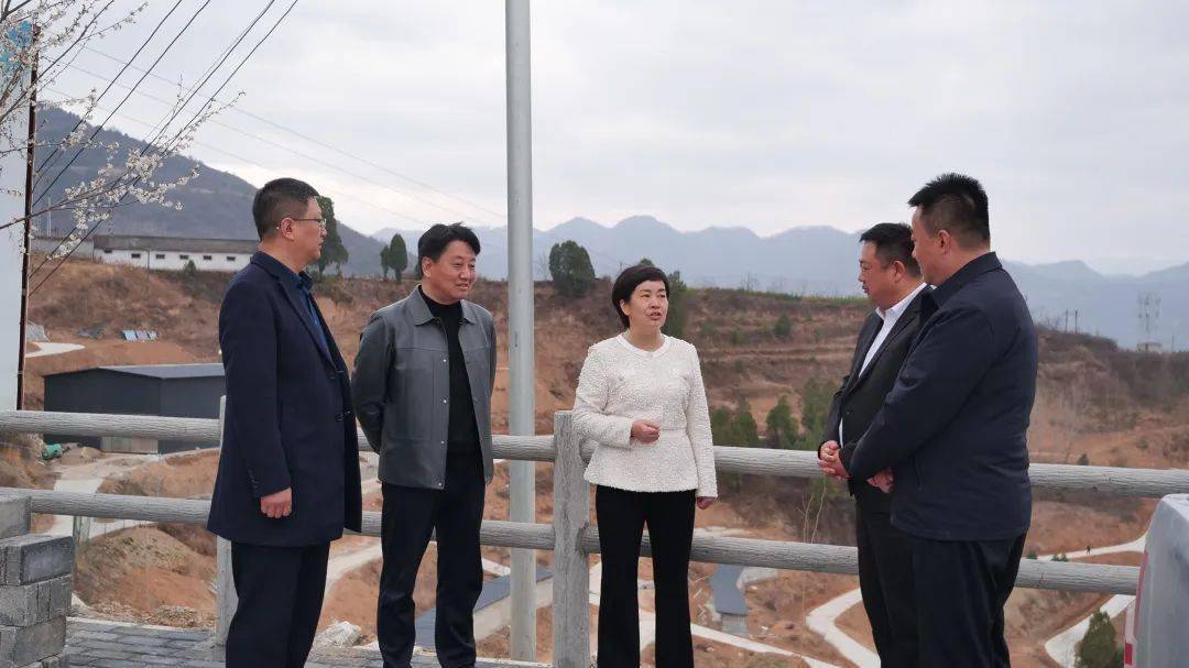 武冰一行先后来到苍坪村沁香林麝生态养殖观光园招商项目,张果老生态