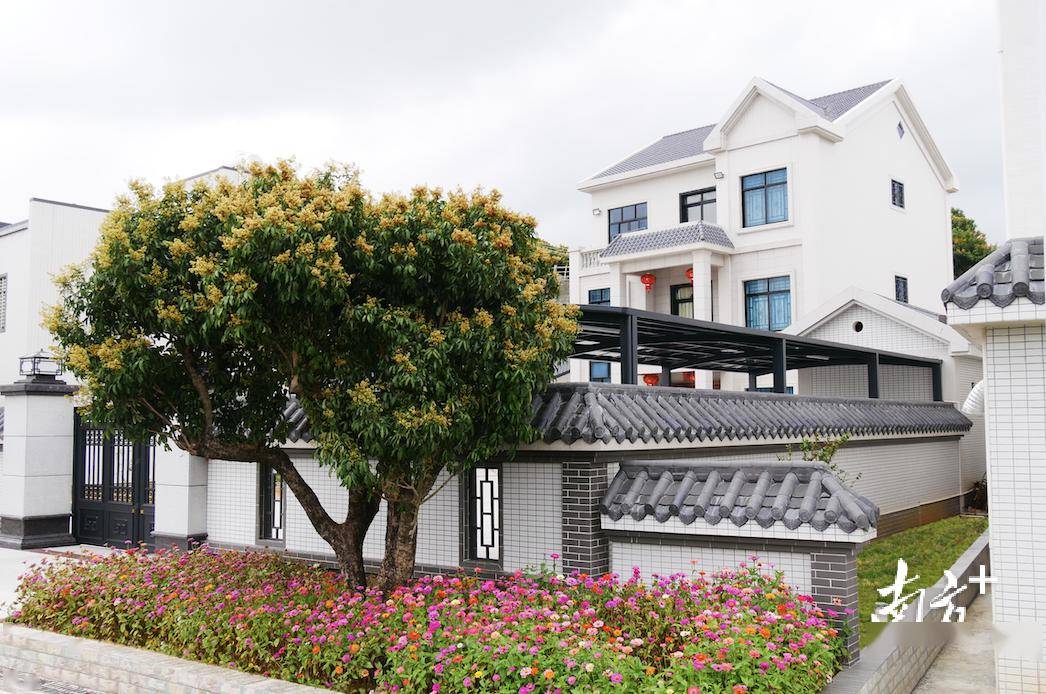 在高州市根子镇元坝村,家家户户利用房前屋后闲置地打造小花园.