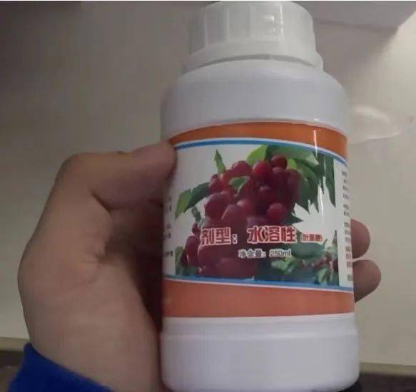 大连假农药致樱桃树大量落果减产记者暗访假农药黑作坊