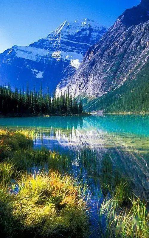 美到极致的摄影美到销魂