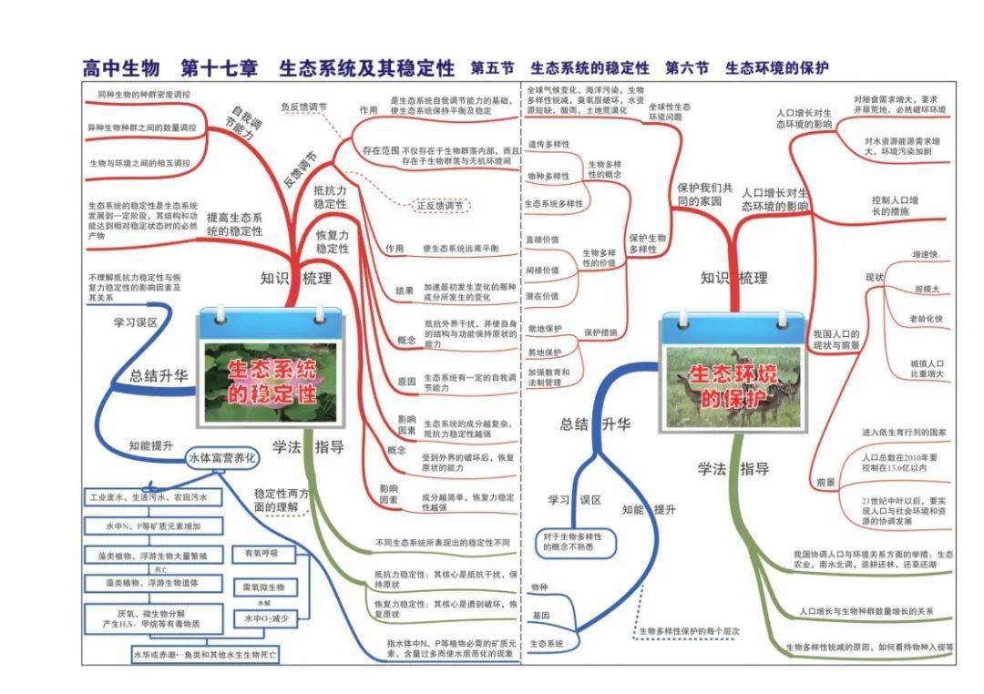 【高中生物】全套思维导图(高清版)