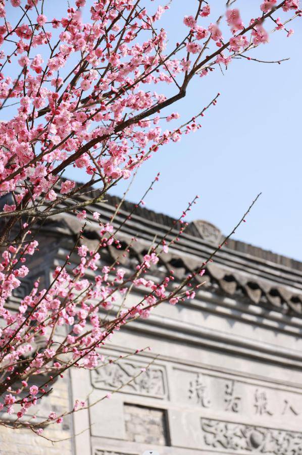 报告接下来泰州惊艳