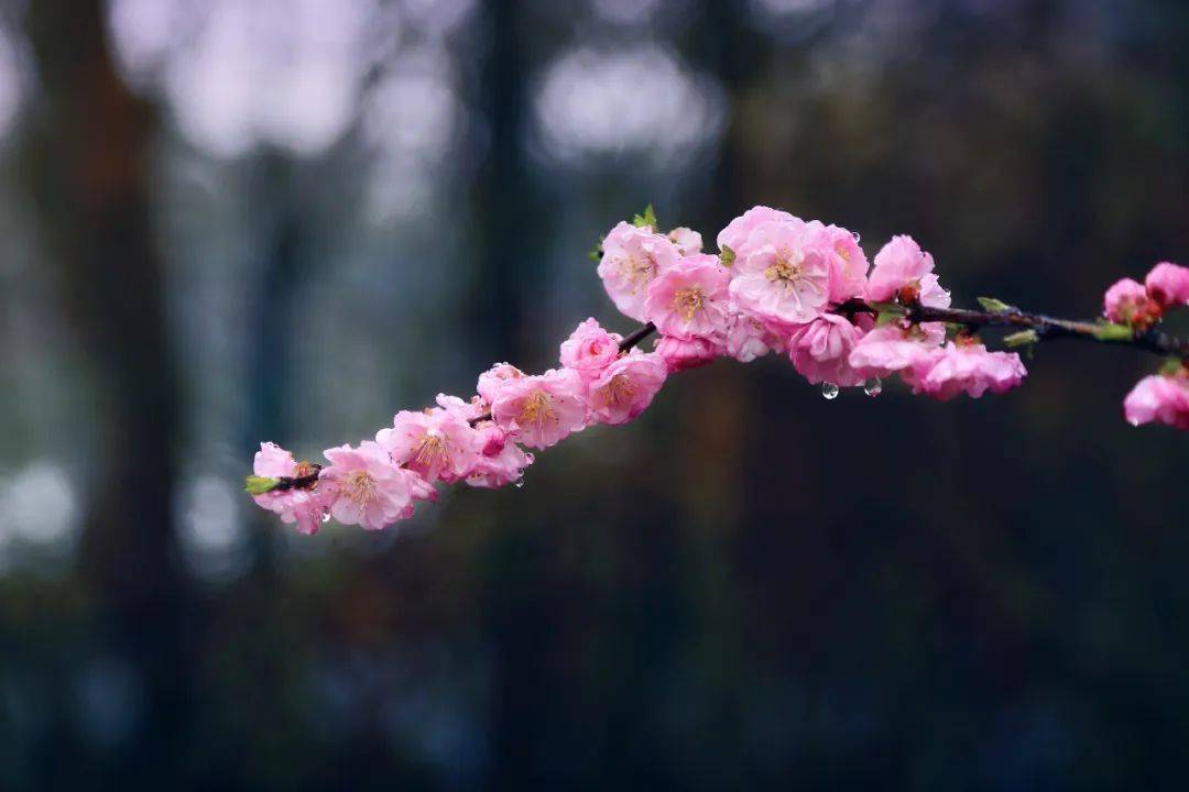 报告接下来泰州惊艳