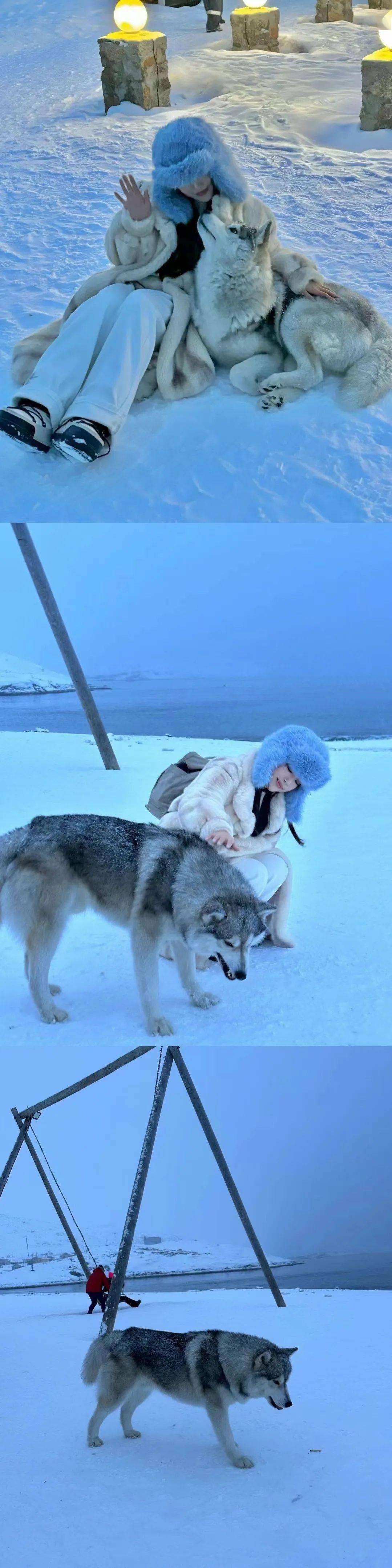 遇到一只超级粘人的阿拉斯加狗狗,很配合的跟我一起拍照~在世界尽头冰