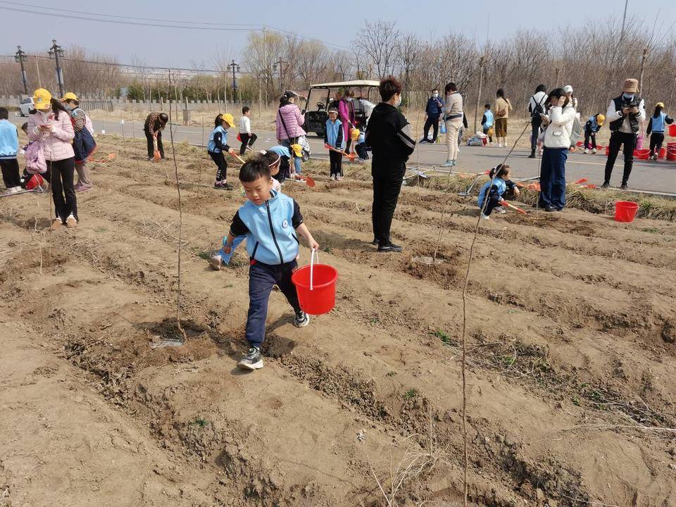 50名小学生植树前阙庄村,在春日里播撒绿色和希望