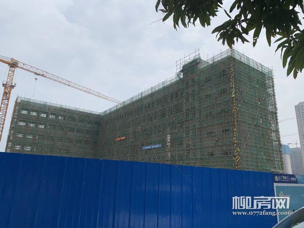 柳州开启入学新生摸底2024年这些楼盘学区变动猜想