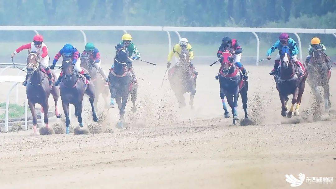 明天到东西湖看赛马赏繁花春游园