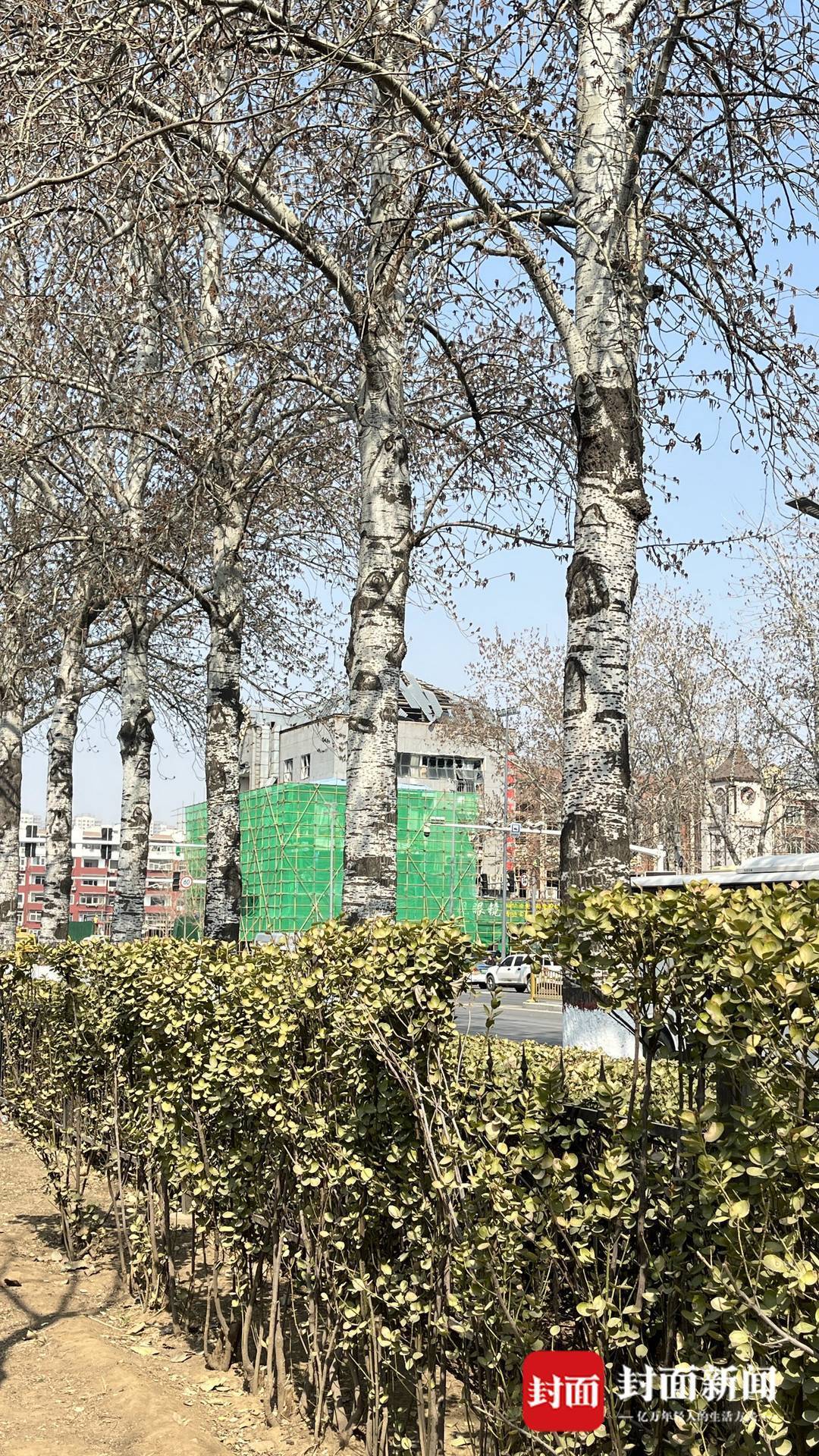 爆燃建筑外搭建起绿色围挡 郝莹 摄迎宾路西侧的小巷,每个巷口都拉起